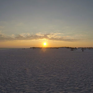 Meet your Posher, Dan